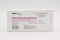 Кокарбоксилазы гидрохлорид 50 мг, амп., N5, лиоф-ат для приг. р-ра для в/в и в/м введ.